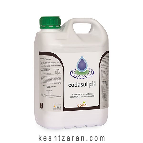 bigbag_کداسولپیاچCODA(اسپانیا)_70799.jpg