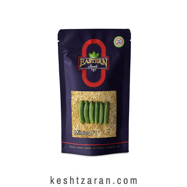 bigbag_بذرخیارمینیکو_70920.jpg
