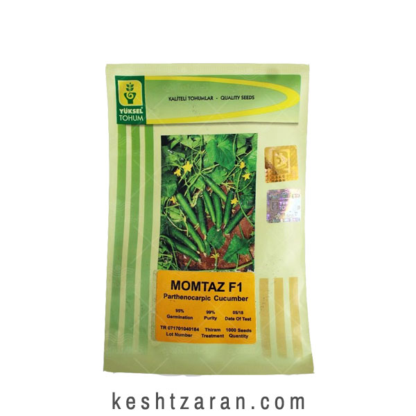 bigbag_بذرخیارفضابازممتازF1یوکسل_70942.jpg