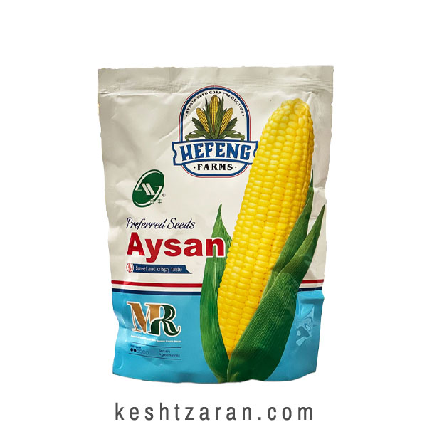 bigbag_بذرذرتسوپرشیرینآیسان_70973.jpg