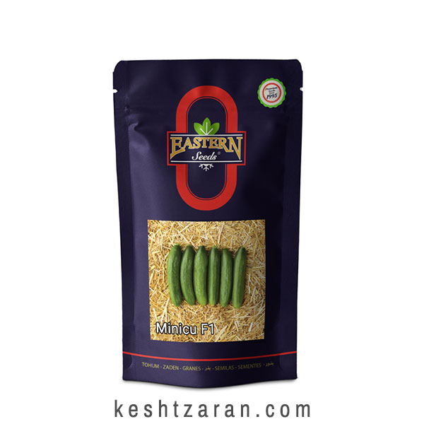 bigbag_بذرخیارمینیکو_70416.jpg